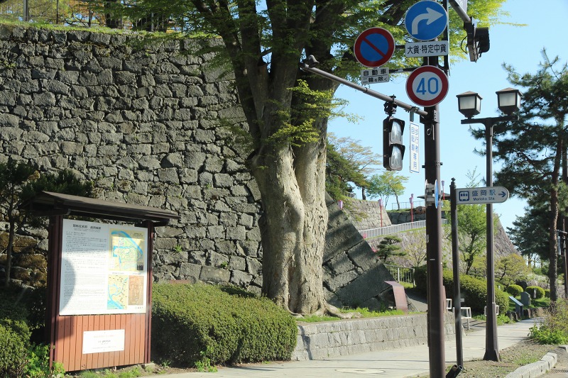 ファイル 137-6.jpg