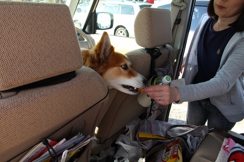 ファイル 137-9.jpg