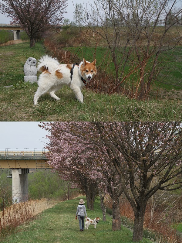 ファイル 139-2.jpg