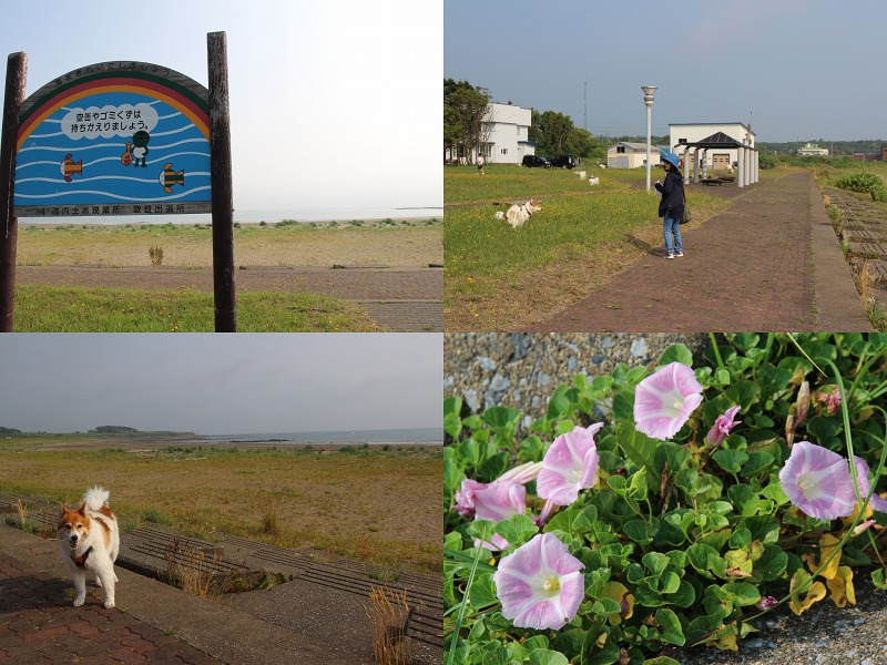 ファイル 140-2.jpg