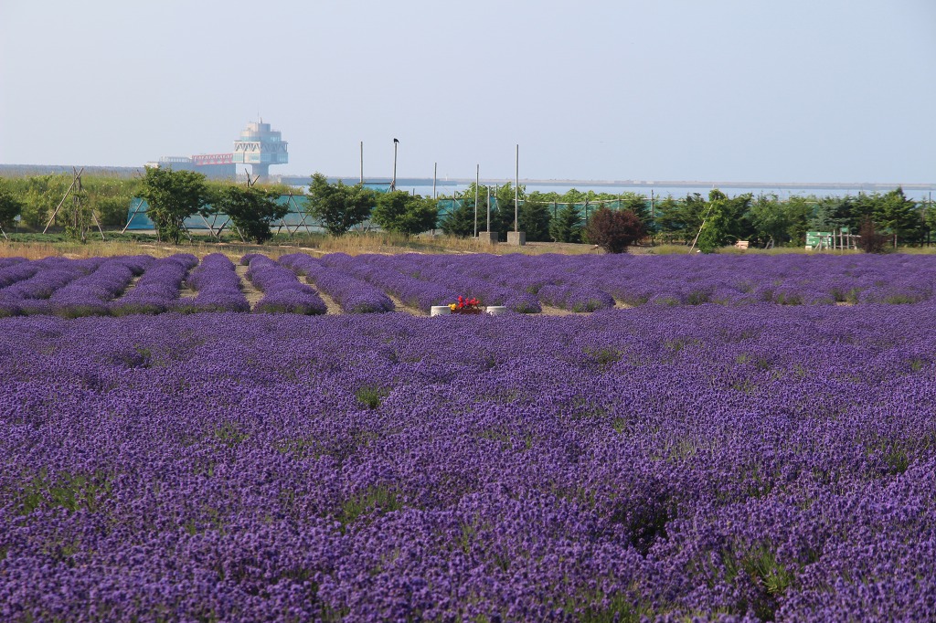 ファイル 141-1.jpg