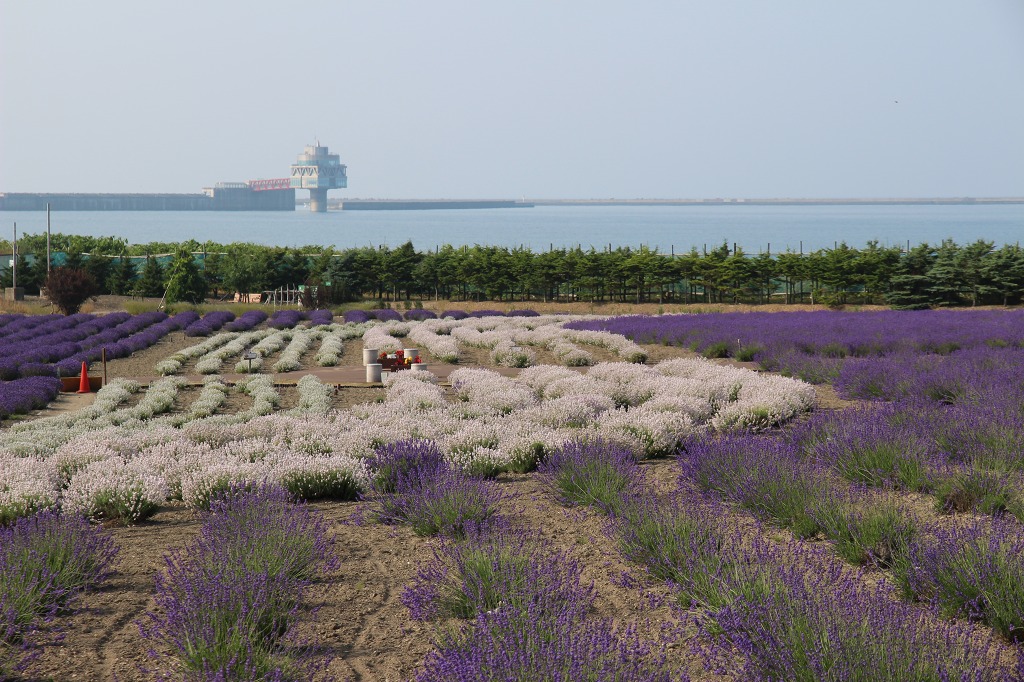 ファイル 141-4.jpg