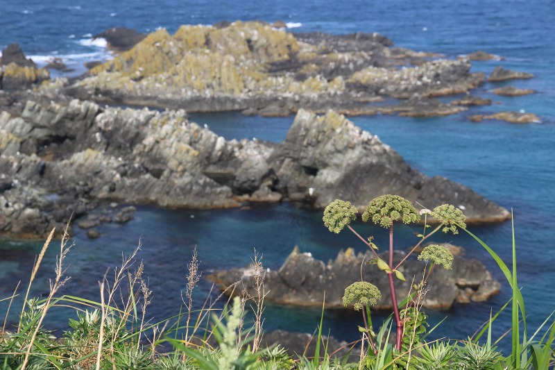 ファイル 143-8.jpg