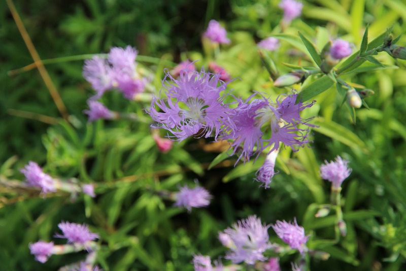 ファイル 143-9.jpg