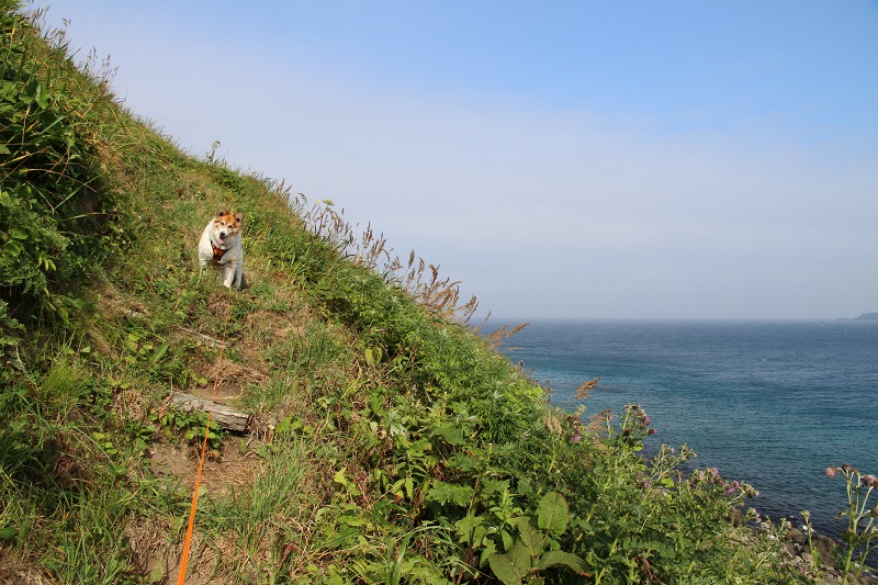 ファイル 144-2.jpg