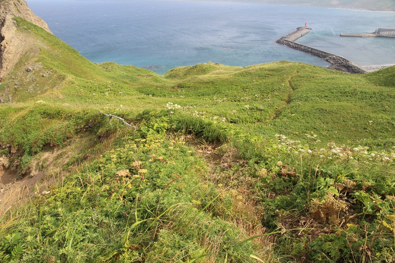 ファイル 144-7.jpg