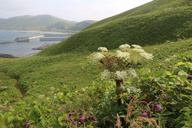 ファイル 144-8.jpg