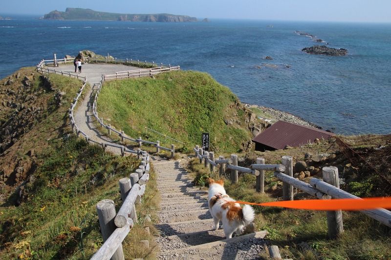 ファイル 145-1.jpg