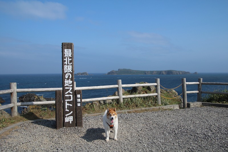 ファイル 145-2.jpg