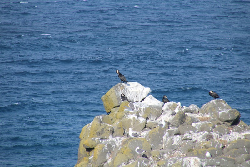 ファイル 145-3.jpg