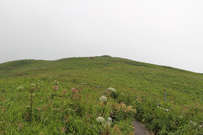 ファイル 147-2.jpg