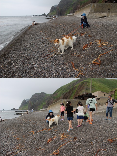 ファイル 148-4.jpg