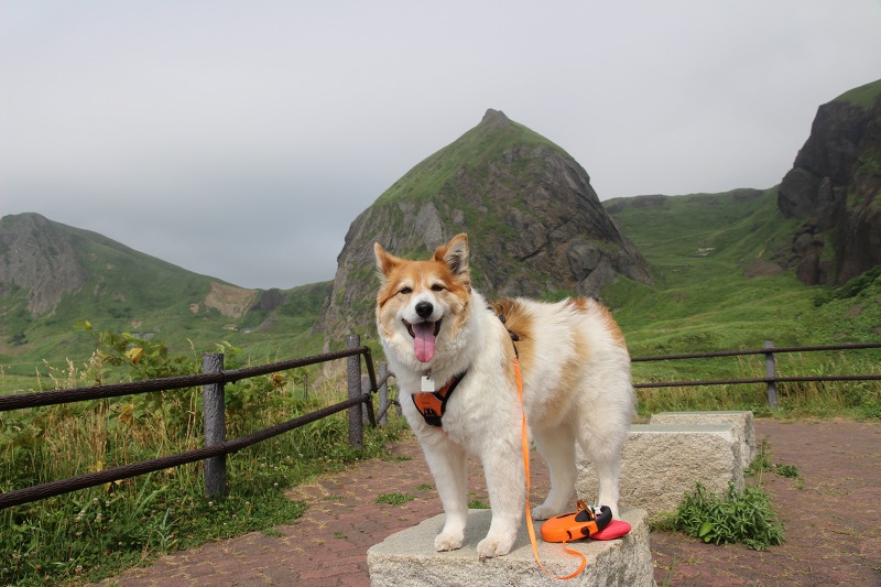 ファイル 148-9.jpg