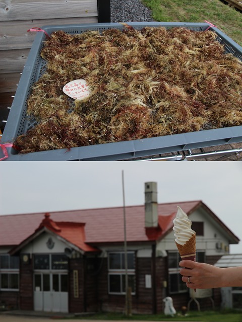 ファイル 149-2.jpg