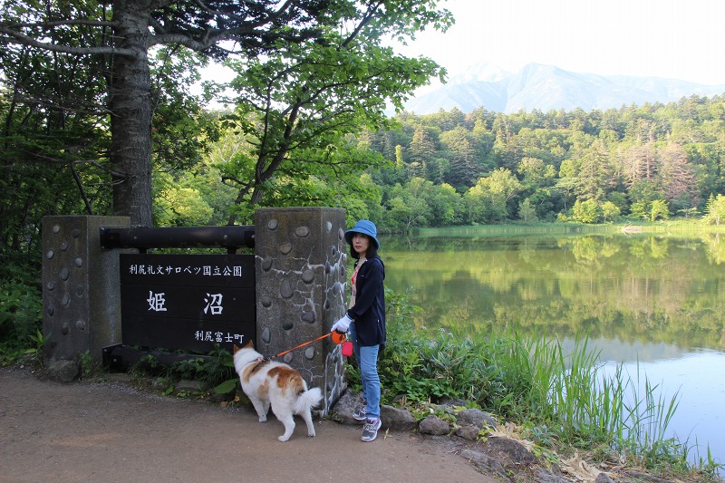 ファイル 150-3.jpg