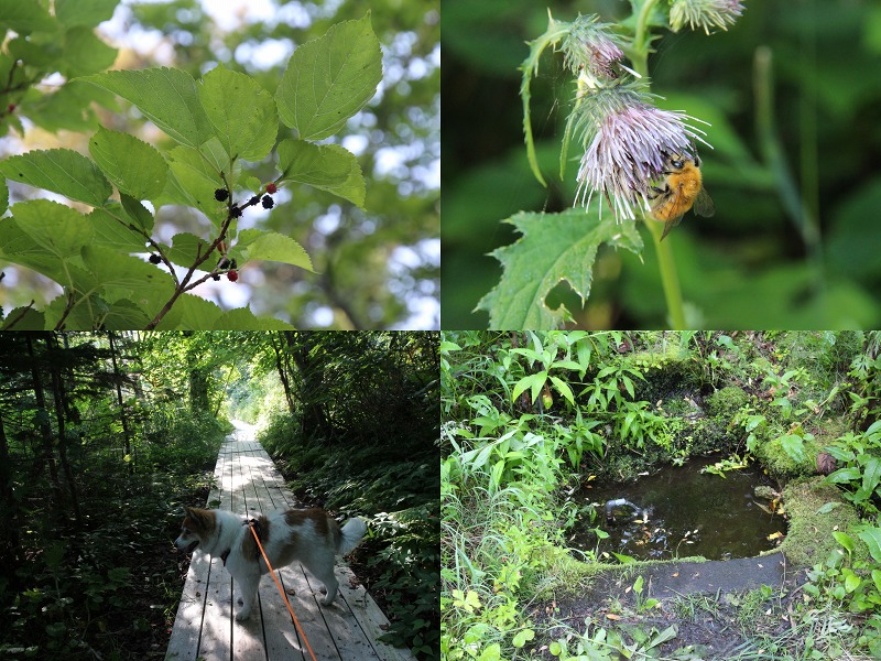 ファイル 150-5.jpg