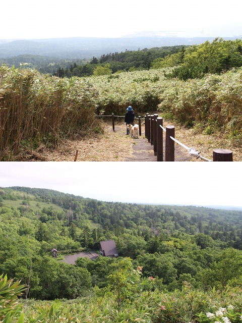 ファイル 153-8.jpg