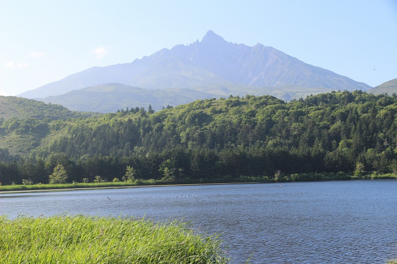 ファイル 154-3.jpg