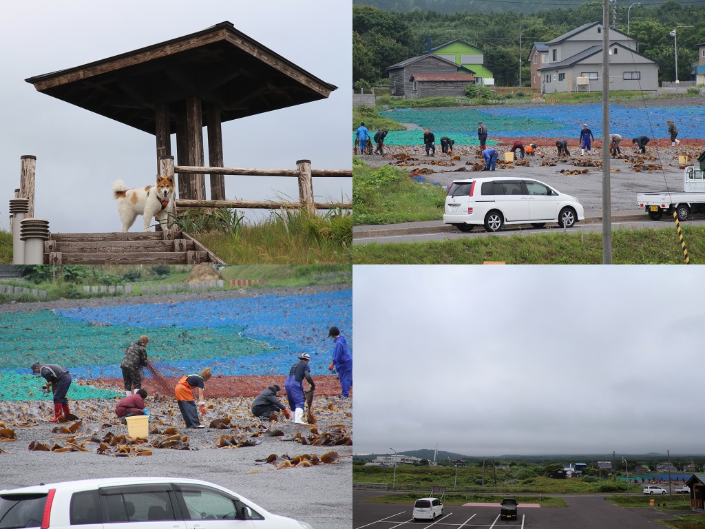 ファイル 155-1.jpg