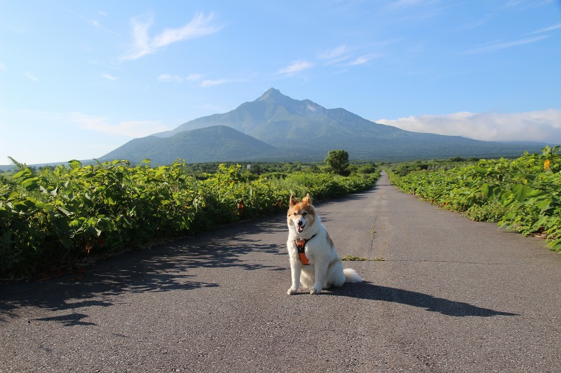 ファイル 155-4.jpg