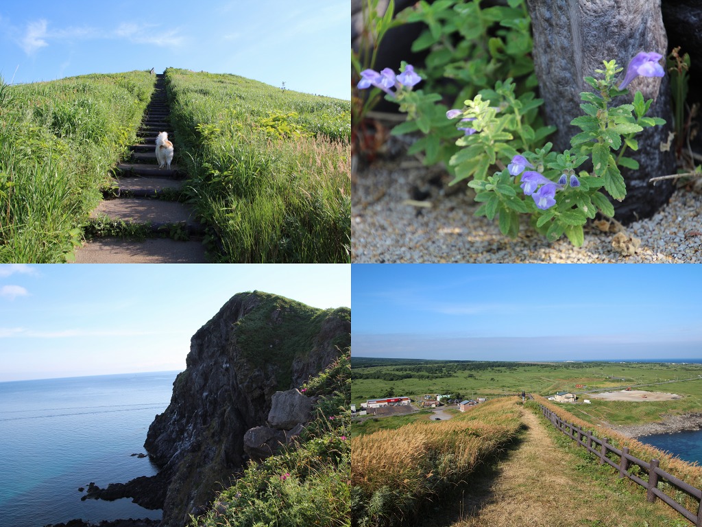 ファイル 155-5.jpg