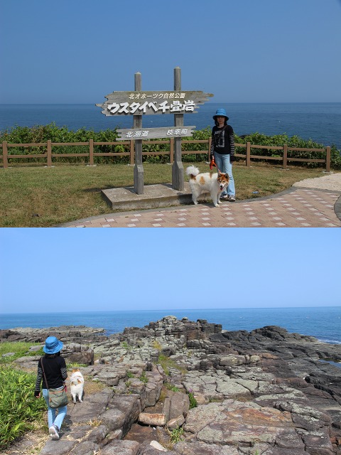 ファイル 156-5.jpg