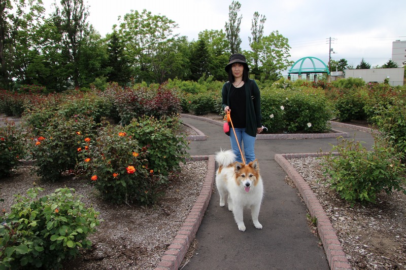 ファイル 157-7.jpg