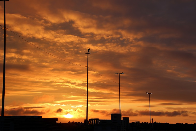 ファイル 158-7.jpg