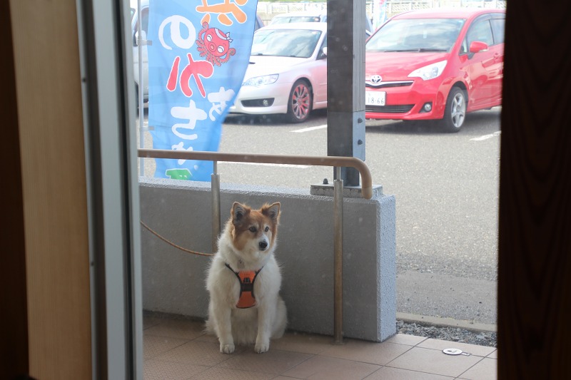 ファイル 159-1.jpg