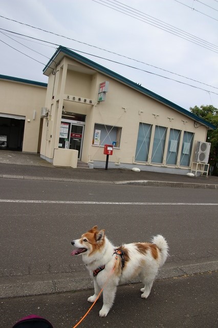 ファイル 161-3.jpg