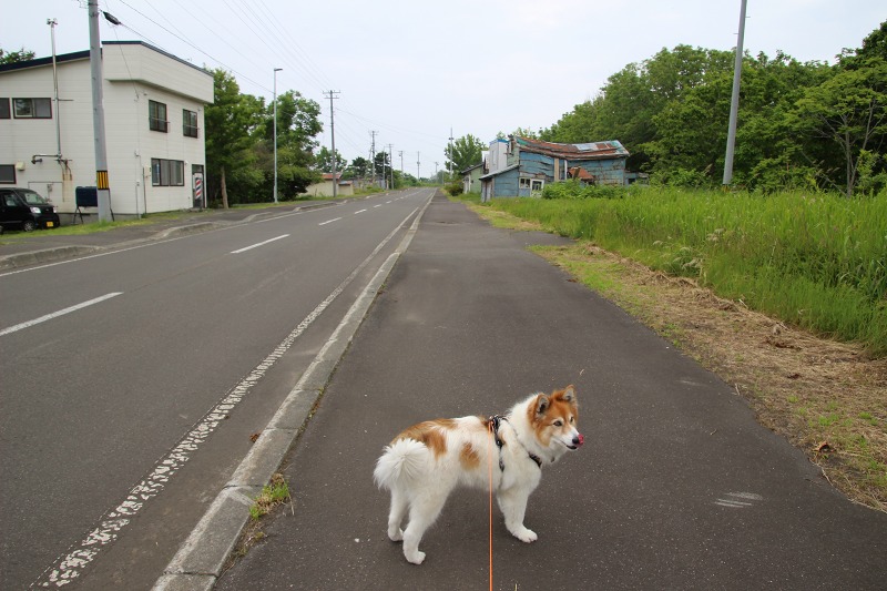 ファイル 161-6.jpg