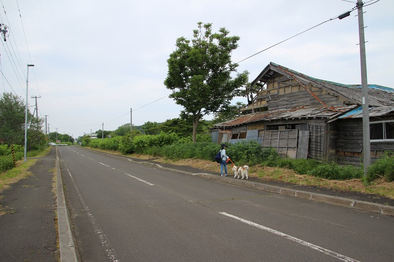 ファイル 161-7.jpg