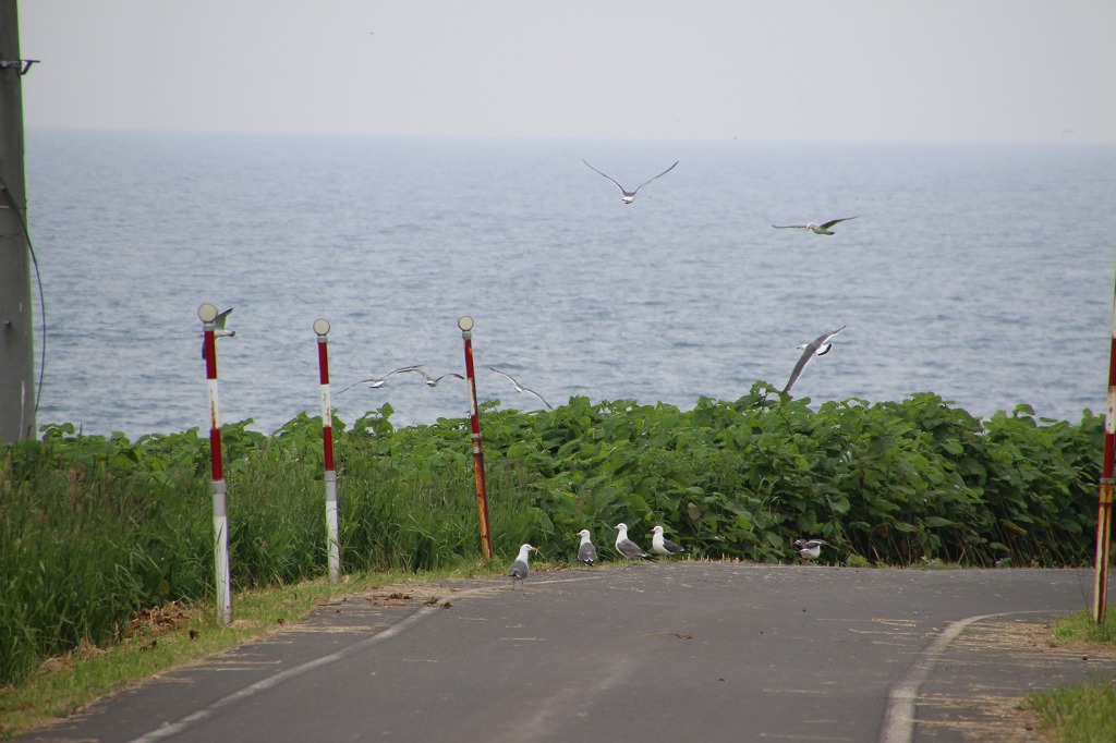 ファイル 161-8.jpg