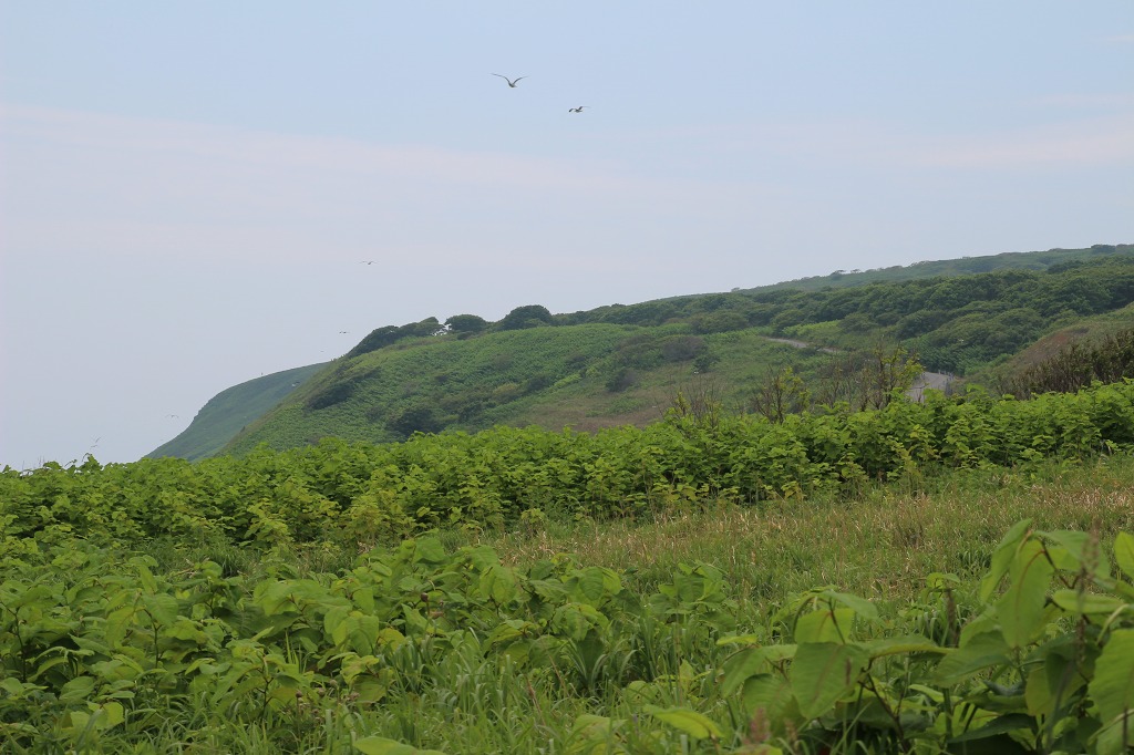 ファイル 161-9.jpg