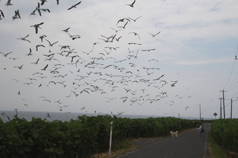 ファイル 162-1.jpg