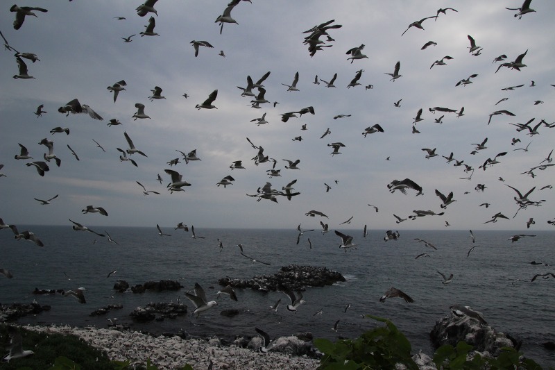 ファイル 162-2.jpg