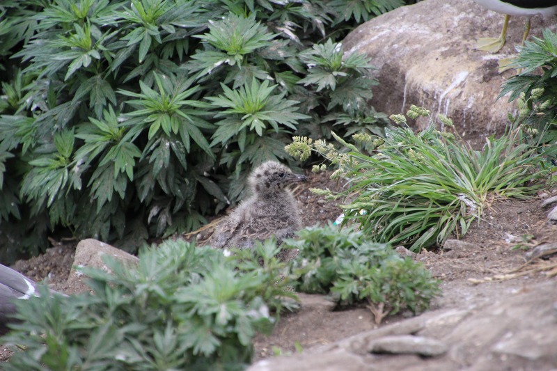 ファイル 162-3.jpg