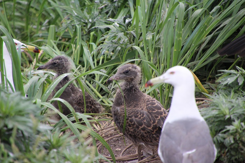 ファイル 162-4.jpg