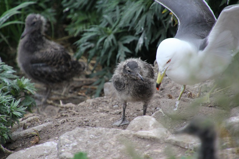 ファイル 162-5.jpg