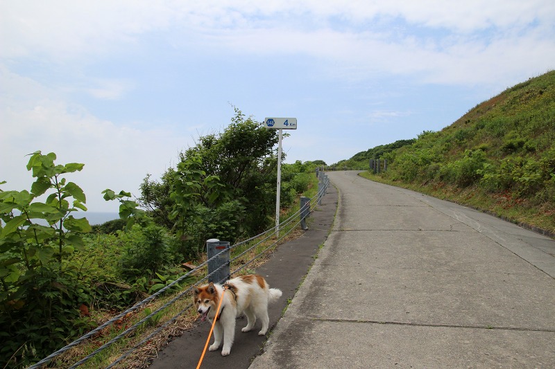 ファイル 162-7.jpg