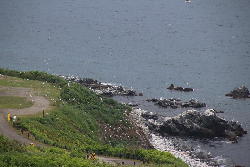 ファイル 162-8.jpg