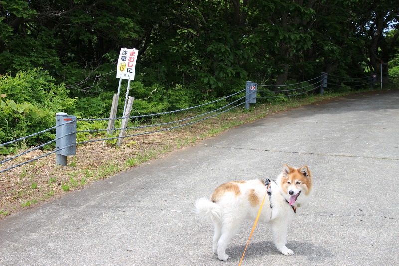 ファイル 163-1.jpg