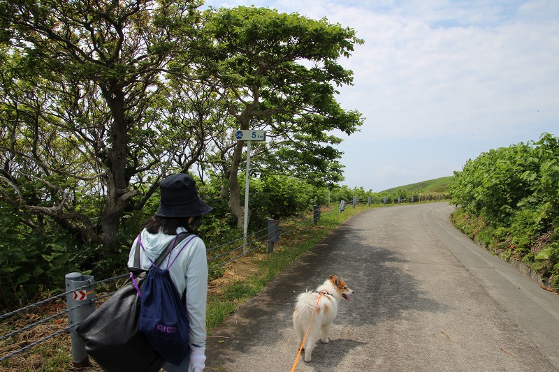 ファイル 163-2.jpg