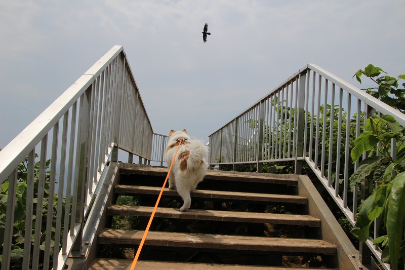 ファイル 163-8.jpg