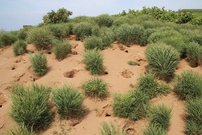 ファイル 164-2.jpg