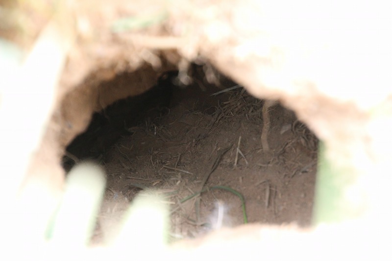 ファイル 164-4.jpg