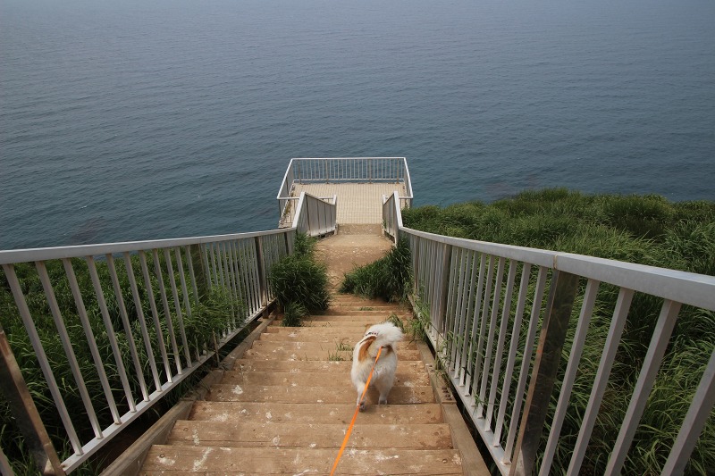 ファイル 164-5.jpg