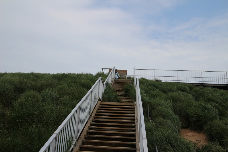 ファイル 164-6.jpg