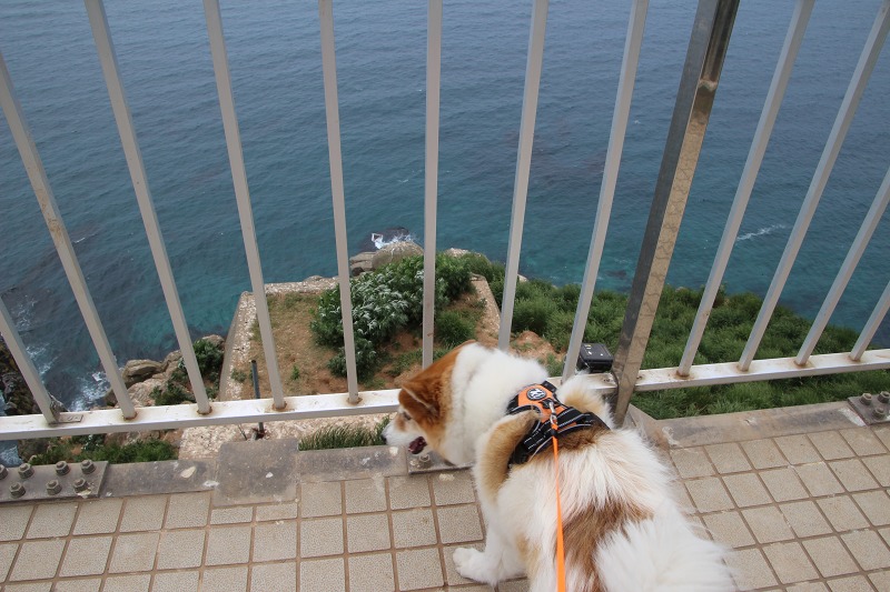 ファイル 164-7.jpg