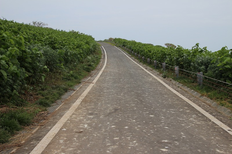 ファイル 164-9.jpg